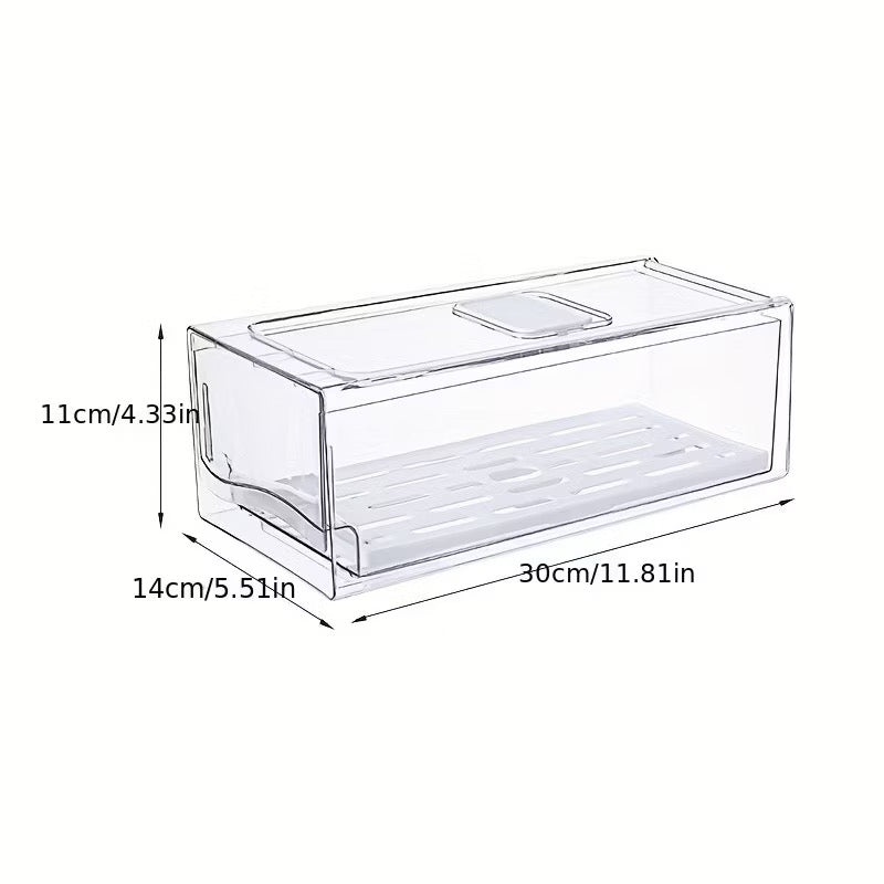 Acrylic Ref Organizer